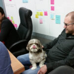 Hershee wants some of that Cake