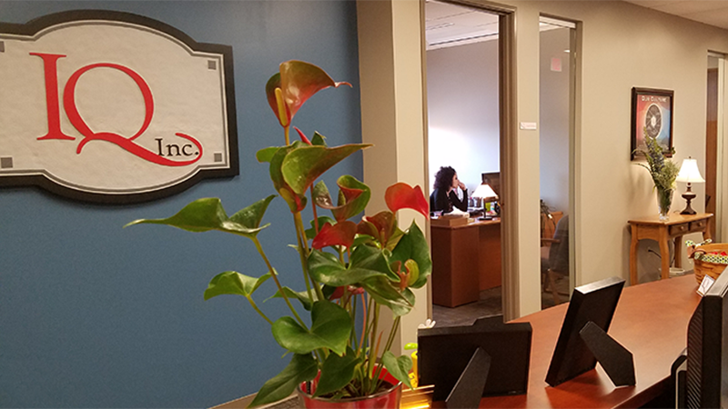 The new IQ Inc office