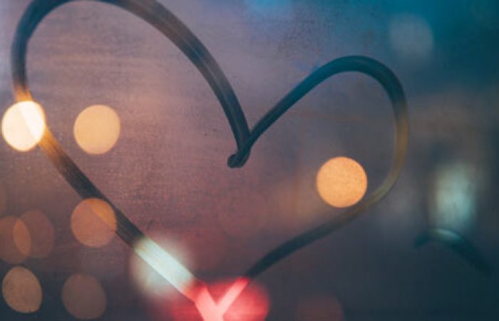 IQ Social Good Update