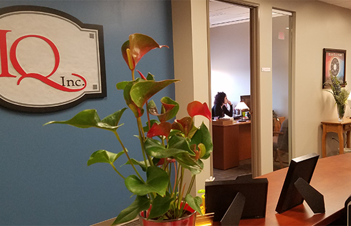 The new IQ Inc office